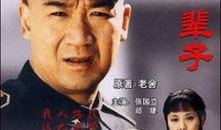 电视剧我这一辈子,风雨人生路