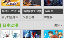 风车动漫网站,探索动漫世界的奇幻之旅