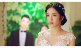 蔡文静电视剧,从平凡女孩到璀璨明星的蜕变之路