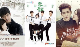 电视剧致青春剧情介绍,青春岁月里的爱情与成长