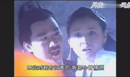 红杏出墙记 电视剧,爱恨情仇的宫廷纠葛