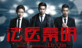 电视剧大全在线观看,海量剧集，一网打尽