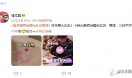 吃瓜爆料明星真的假的,吃瓜爆料，明星真相大起底